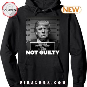 Free Trump I Stand With Trump Pullover Hoodie