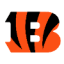 Cincinnati Bengals 