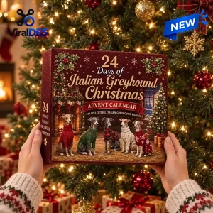 Hands holding the Italian Greyhound Christmas Advent Calendar 2026 box in front of a lit tree.