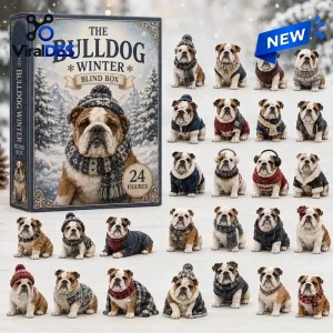 Winter Bulldog Dog Christmas Advent Calendar
