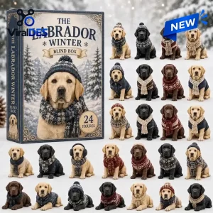 Labrador Winter Blind Box Advent Calendar