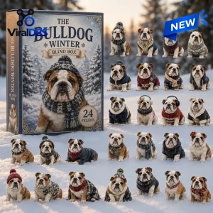 Front view of Winter Bulldog Dog Christmas Advent Calendar packaging beside twenty-four miniature bulldog figures in snow.